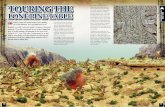 Touring The - Grandmanner · 2013-10-31 · Wargames Illustrated in 2011. Hopefully you didn’t miss last month’s Wargames Illustrated magazine. If you did, you missed out on seeing