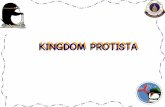KINGDOM PROTISTA - MWITt2050107/link/All Course/biodiver/biodivpdf/Protist_I.pdf · Division Pigment อาหารสะสม Cell wall flagellum Habitat ดํารงชีวิต