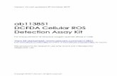 Detection Assay Kit ab113851 DCFDA Cellular ROS...ab113851 DCFDA Cellular ROS Detection Assay Kit 3 2.3 Flow Cytometry Assay Grow 1.5 x 105 cells per experimental condition (1 well)