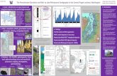 The Penultimate Glaciation and Mid- to Late-Pleistocene ... 2014 poster.pdf The Penultimate Glaciation and Mid- to Late-Pleistocene Stratigraphy in the Central Puget Lowland, Washington