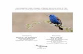 2010 BREEDING BIRD SURVEYS AT SEVEN RIPARIAN SITES IN … Aloft_2010 Breeding Bird... · Bluewater Canyon, Lost Valley, Rinconada Canyon, Rito Leche, San Ysidro, Senorito Creek, and