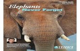 Teaching Guide and Lessons Middle/Secondary Edition (Ages 11 … · 2017-09-20 · Teaching Guide and Lessons EElephantslephants Middle/Secondary Edition (Ages 11-14) NNever Forgetever
