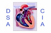 Arteria Pulmonar Defecto Septal Auricular V. Pulmonares AI AD VI …campus.usal.es/~ogyp/Clases teoricas 2013 2014... · 2013-12-18 · d. Coexistencia de otras lesiones cardiacas