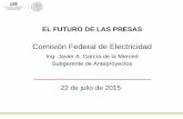 Comisión Federal de Electricidad - gob.mx · 2015-08-03 · Netzahualcóyotl Malpaso o Raudales 10 596 138,00 1964 XI Frontera Sur Chiapas G, I, C 1080 Río Grijalva 10 336.00 José