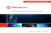 Power Discrete and Module Portfolioww1.microchip.com/downloads/en/DeviceDoc/00003052A.pdf · All standard IGBT products are available as a single IGBT or as a Combi product packaged
