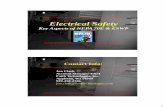 Electrical Safetyan overall electrical safety program that directs activity appropriate to the risk associated with electrical hazards. The electrical safety program shall be implemented