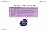 Chapter 7 Cell Structure - Cell Structure.pdf · Chapter 7 Cell Structure All living things are made of cells. Cells are made up of 3 main parts, Cell Membrane A skin that controls