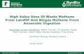 High Value Uses Of Waste Methane From Landfill And Biogas ...ccnet-nibb.co.uk/wp-content/uploads/2018/04/grossehonebrink.pdf · Propylene Lipids (biodiesel) Ethanol Butanol Lipids