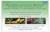 BRAZORIA COUNTY MASTER GARDENER ASSOCIATION 2018 …counties.agrilife.org/brazoria/files/2018/01/2018-Citrus-Fruit-Tree-Sale-Book.pdfHarvest in late June. Cross-pollination includes