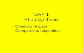 DAY 1 Photosynthesis - Weeblymarandoscience.weebly.com/uploads/2/3/7/6/23768555/notes...Photosynthesis: process when plants use the energy from sunlight to convert water and carbon