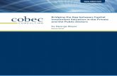 Bridging the Gap between Capital Investment Valuation in ...cobec.com/wp-content/uploads/2016/08/Bridging_the...Bridging the Gap between Capital Investment Valuation in the Private