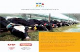 Best Dairy Farming in India | Parag Milk Food - bn ... milk powders) Flagship brands ¢â‚¬©Gowardhan¢â‚¬â„¢