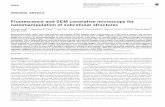 Fluorescence and SEM correlative microscopy for nanomanipulation of subcellular …amnl.mie.utoronto.ca/data/J110.pdf · 2014-12-01 · ORIGINAL ARTICLE Fluorescence and SEM correlative