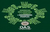 AMERICAN DECLARATION ON THE RIGHTS ...AG/RES. 2888 (XLVI-O/16) AMERICAN DECLARATION ON THE RIGHTS OF INDIGENOUS PEOPLES (Adopted at the third plenary session, held on June 15, 2016)