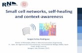 Small cell networks, self-healing and context-awarenessSmall cell networks, self-healing and context-awareness - October 2017 –Bologna, Italy 10/117 Discussion: Why increasing frequency?