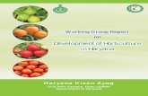 Development of Horticulture in HaryanaWorking Group Report on Development of Horticulture in Haryana Haryana Kisan Ayog CCS Haryana Agricultural University Campus Hisar 125004 Government