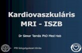 MRI - ISZB · 2014-04-07 · Kaposvári Egyetem Diagnosztikai Központ 1,5 T Siemens Magnetom Avanto Semmelweis Egyetem Ér-és Szívsebészeti Klinika 1,5 T Philips Achieva Pécsi