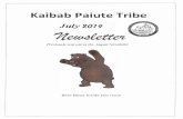 Kaibab Paiute UPDATE 2019 Kaibab Paiute Mistletoe Project The excavator tree mulcher machine that will