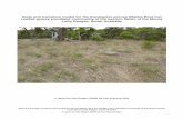 rainfall grassy woodland community of the eastern flanks ... · State and transition model for the Eucalyptus porosa (Mallee Box) low rainfall grassy woodland community of the Eastern