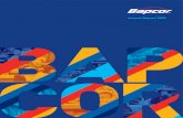 Annual Report 2019 - Bapcor · 02 Bapcor Limited Annual Report 2019 AAD Specialises in the import, re-manufacture and wholesale of premium quality brake, clutch, steering, suspension,