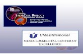 MUSCULOSKELETAL CENTER OFMUSCULOSKELETAL CENTER … · 2015-09-26 · • UMass Memorial Musculoskeletal Center of ExcellenceUMass Memorial Musculoskeletal Center of Excellence. STEM