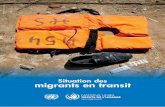 Situation des migrants en transit · 2016-12-17 · Situation des migrants en transit 4 I. Introduction 1. Dans sa résolution 29/2, le Conseil des droits de l’homme a invité le