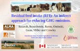 Residual feed intake (RFI): An indirect approach for ...Department/deptdocs.nsf/all/... · Trends in estimated breeding values for residual feed intake (RFI) for High and Low feed