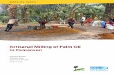 Artisanal Milling of Palm Oil in Cameroon · 2014-02-02 · primary purpose until now has been the extraction of palm oil (from the flesh of the oil palm fruit) and palm kernel oil