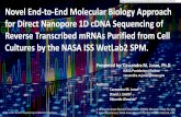 Novel End-to-End Molecular Biology Approach for Direct ...Novel End-to-End Molecular Biology Approach for Direct Nanopore 1D cDNA Sequencing of ... (2015). End-to-End Methodology •Utilize