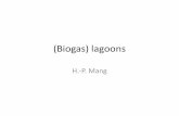 (Biogas) lagoons - Energypedia3. For anaerobic lagoons, the organic loading rate is the volumetric loading rate of volatile solids, which is the amount of volatile solids (organic