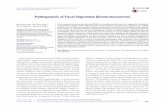 Pathogenesis of Focal Segmental Glomerulosclerosis  Pathogenesis of FSGS • 407 inhibitor.31,32 A phase II clinical trial on therapeutic effect of ga ...