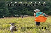 VERSATILE HUNTING DOG...Visit the Versatile Hunting Dog magazine online at The Versatile Dog denotes that this feature or story is an original article by a NAVHDA member. HUNTING DOG