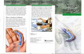 Trigger Finger Brochure Hand Center · 2019-02-11 · What Is Trigger Finger? Trigger finger is an inflammation of tissue inside your finger or thumb. It is also called tenosynovitis