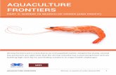 AQUACULTURE FRONTIERS...AQUACULTURE FRONTIERS PART 3: SHRIMP, IN SEARCH OF ORDER (AND PROFIT) Shrimp farmers are in crisis due to an oversupplied market. Despite the slump, several