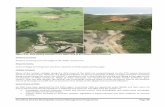 Amathole District Municipality Coastal … District Muni AHun300816...Amathole District Municipality Coastal Management Programme Page 106 Figure 2.23: Sand mine along the Mbhashe