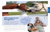 Lexington, is known for its bluegrass. However, …e-archives.ky.gov/pubs/Tourism/Bluegrass.pdfThis region, centered around Lexington, is known for its bluegrass. However, bluegrass