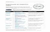 Instrumente de colaborare onlinesc16caragiale.ro/.../2017/02/Online_Collaborative_Tools.pdf · 2018-09-23 · Intel® Teach Elements Colaborarea în clasa digitală Copyright © 2010