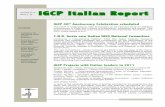 IGCP Italian Report - cnr.it · project proposals • Summary report of the IGCP Italian National Committee • Summary report of the IUGS ... Project No.540 – “Gold-bearing Hydrothermal