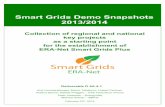 Smart Grids Demo Snapshots 2013/2014 · Smart Grids Demo Snapshots 2 Introduction & Acknowledgements Introduction This brochure contains a collection of 34 snapshots of important