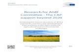 Research forAGRI Committee-The CAP support beyond 2020 · Jongeneel, R.A. 2018, Research for AGR I Committee – The CAP support beyond 2020: assessing the future structure of direct