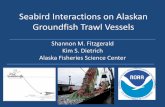 Seabird Interactions on Alaskan Groundfish Trawl Vessels ... Seabird Interactions on Alaskan Groundfish Trawl Vessels Shannon M. Fitzgerald Kim S. Dietrich Alaska Fisheries Science