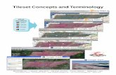 Tileset Concepts and Terminology - MicroImages Terminology.pdfTNT products. However, the terminology used to describe a tileset, its structure, and content is not widely understood