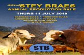 STB 2019 Annual Sale Catalogue reduced size · 7 Brahman Bulls STB 16-21 BAROQUE Birth weight: 28kg Current age: 36mo —OBS 06-180 —STB 12-56 —STB 07-111 STB 16-21 —DBV 02-28