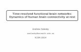 Time-resolved functional brain networks: Dynamics of human … · Time-resolved functional brain networks: Dynamics of human brain connectivity at rest Andrew Zalesky azalesky@unimelb.edu.au