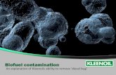 Biofuel contamination - Maskinsupportmaskinsupport.se/wp/wp-content/uploads/biofuel-algae-presentation.pdf · Inherent Problems of biodiesel in the engine . Biodiesel may contain