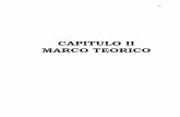 CAPITULO II MARCO TEORICO - ri.ufg.edu.svri.ufg.edu.sv/jspui/bitstream/11592/8253/3/361.763-B642p-CAPITULO II.pdfMARCO TEORICO . 29 CAPITULO II ... recursos naturales, una enorme producción