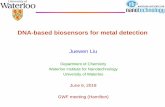 DNA-based biosensors for metal detectionDNA-based biosensors for metal detection Juewen Liu Department of Chemistry Waterloo Institute for Nanotechnology University of Waterloo June