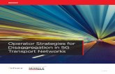 Operator Strategies for Disaggregation in 5G Transport ... · radio, core and transport network design. As communication service providers (CSPs) begin to roll out 5G, Mobile World