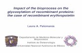 Impact of the bioprocess on the glycosylation of ...20Palomares.pdf · Células de ovario de hamster chino Las células animales más utilizadas para la producción de proteínas