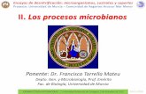 Proyecto: Universidad de Murcia – Comunidad de Regantes ......La melaza azucarera como sustrato para desnitrificación En biotecnología de la desnitrificación, los microorganismos